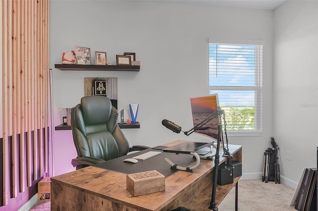 1123 Dora Parc Ln, Mount Dora, FL 32757 - home office featuring carpet flooring and baseboards