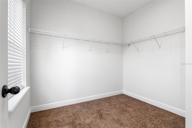 8692 Tavistock Lakes Blvd, Orlando, FL 32827 - spacious closet featuring carpet