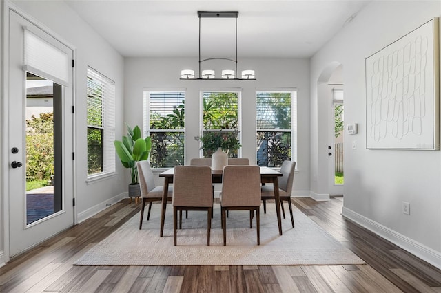 8692 Tavistock Lakes Blvd, Orlando, FL 32827 - dining space with plenty of natural light, wood finished floors, and arched walkways