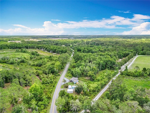 aerial view of a forest
