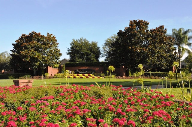 view of community with a yard
