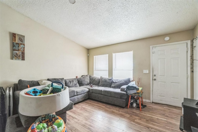 3711 Shady Grove Cir, Orlando, FL 32810 - living area with light wood-type flooring and a textured ceiling
