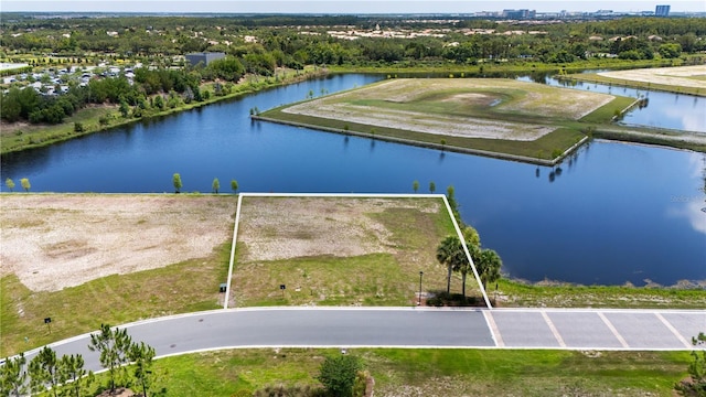 LOT31 Cromwell Rd, Orlando, FL 32827 - photo 1