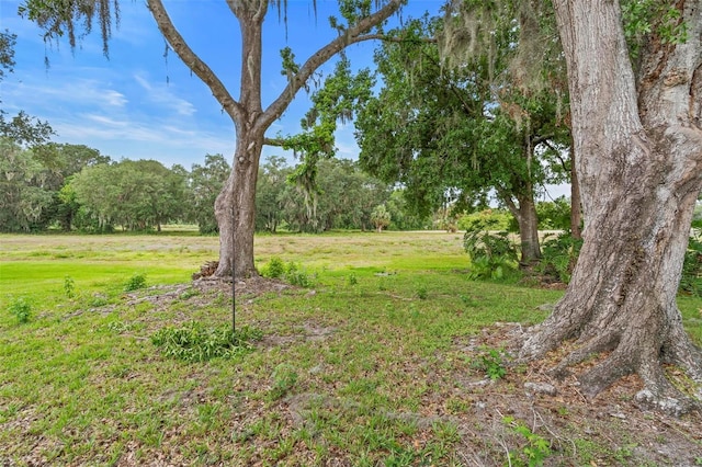 11 Huntley Ct, Haines City, FL 33844 - photo 40