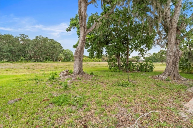 11 Huntley Ct, Haines City, FL 33844 - photo 41