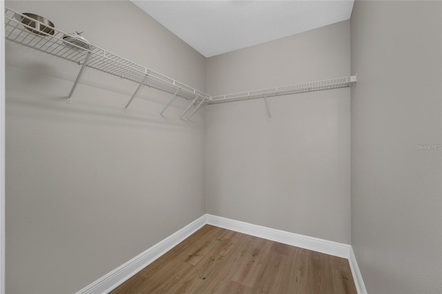 14537 San Lorenzo Dr, Orlando, FL 32820 - photo 31