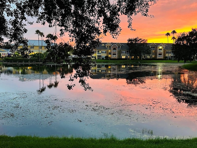 2314 Midtown Ter Unit 1126, Orlando, FL 32839 - water view