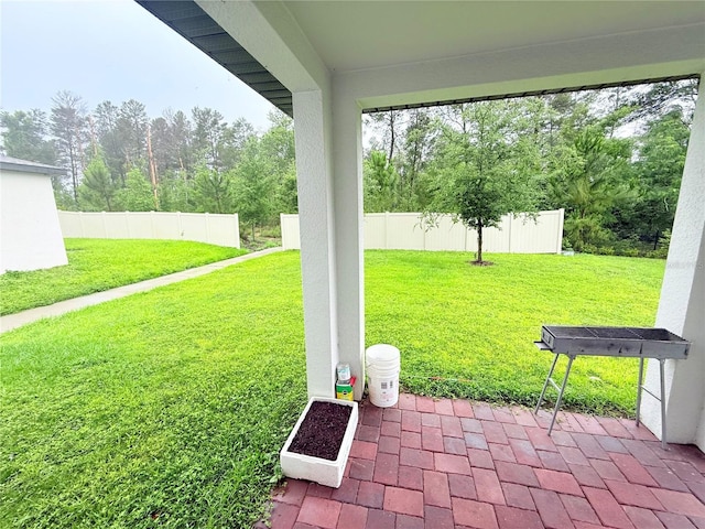 view of yard featuring a patio