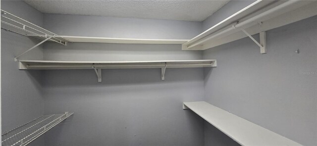 8612 Valley Ridge Ct, Orlando, FL 32818 - view of spacious closet