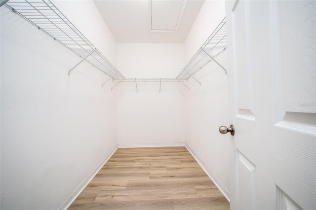 15862 Citrus Grove Loop, Winter Garden, FL 34787 - spacious closet with light wood finished floors