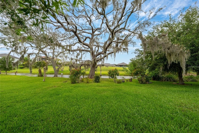 15862 Citrus Grove Loop, Winter Garden, FL 34787 - view of grassy yard with a water view