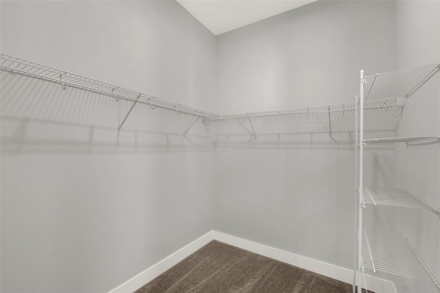 14826 Deaton Aly, Orlando, FL 32827 - spacious closet with dark carpet