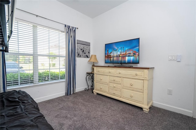 8919 Bismarck Palm Rd, Kissimmee, FL 34747 - bedroom with dark carpet and baseboards