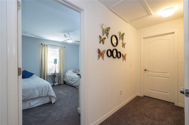 8919 Bismarck Palm Rd, Kissimmee, FL 34747 - bedroom with carpet
