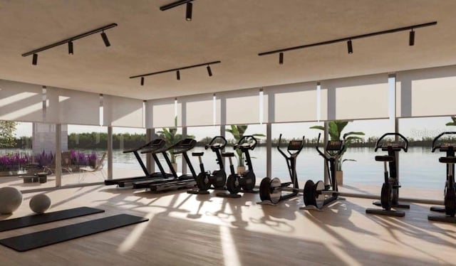 11302 Westwood Blvd Unit 28, Orlando, FL 32821 - exercise room with a wall of windows, track lighting, and a water view