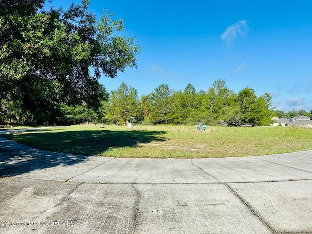 505 Lakeview Ave, Titusville, FL 32796 - view of grassy yard