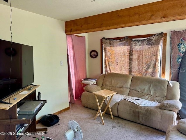 505 Lakeview Ave, Titusville, FL 32796 - living area with carpet flooring