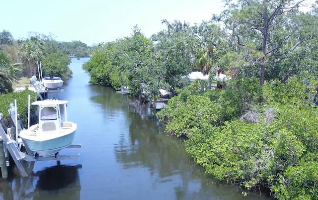 water view featuring a boat dock