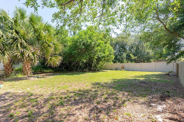 18 Palmira Rd, Debary, FL 32713 - view of yard