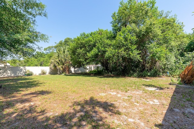 18 Palmira Rd, Debary, FL 32713 - view of yard