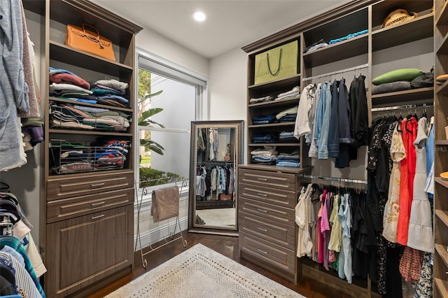 1455 Kelso Blvd, Windermere, FL 34786 - walk in closet featuring dark wood finished floors