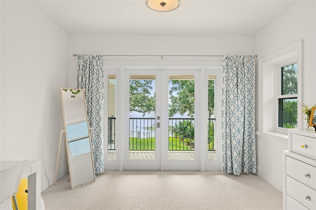 1455 Kelso Blvd, Windermere, FL 34786 - entryway featuring healthy amount of natural light and carpet flooring