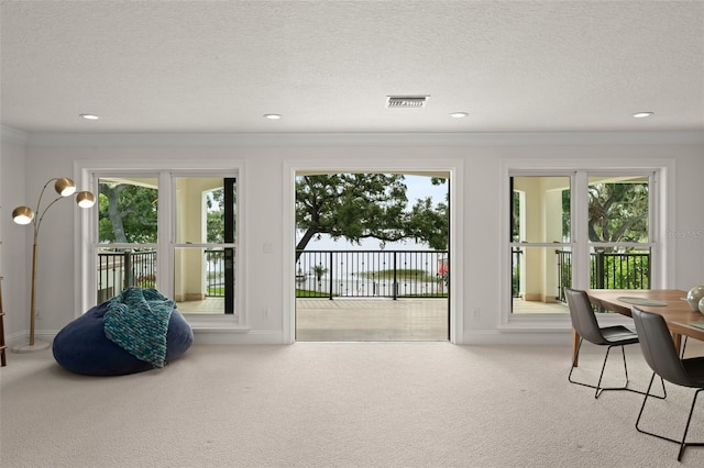 1455 Kelso Blvd, Windermere, FL 34786 - doorway featuring carpet floors, healthy amount of natural light, a textured ceiling, ornamental molding, and recessed lighting