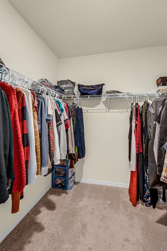walk in closet featuring carpet floors