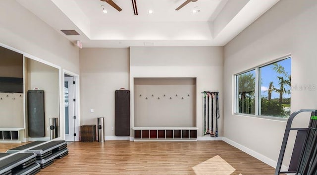5658 Nevis Ter, Kissimmee, FL 34758 - exercise area featuring a ceiling fan, wood finished floors, a raised ceiling, and baseboards