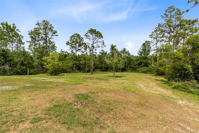 2245 Bronco Dr, Saint Cloud, FL 34771 - photo 54