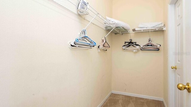2805 Lido Key Ct, Kissimmee, FL 34747 - spacious closet with carpet flooring