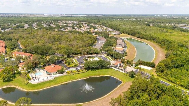 2805 Lido Key Ct, Kissimmee, FL 34747 - view of property location featuring a large body of water and a heavily wooded area