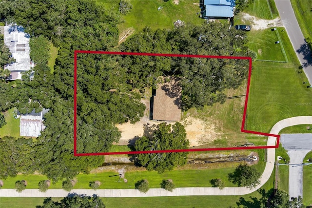 1341 W Belmar St, Lakeland, FL 33815 - photo 22