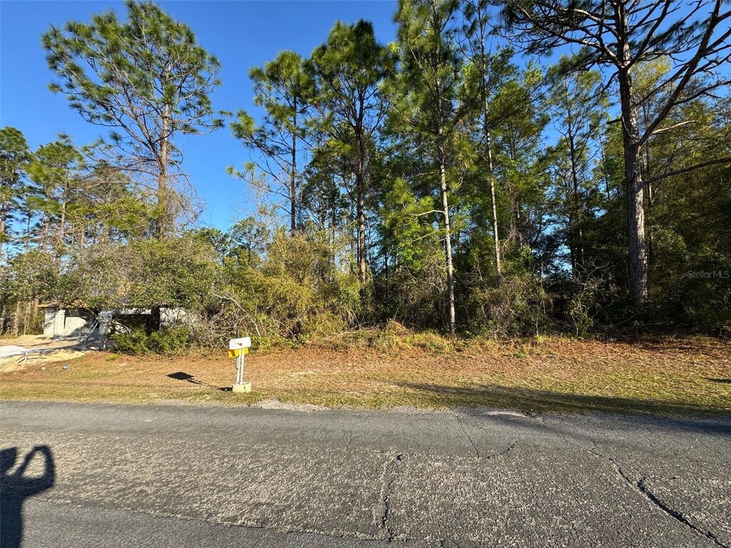 7890 N Pocono Dr, Citrus Springs, FL 34434 - photo 1