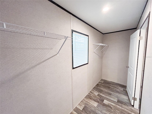 3790 NW 4th Ave, Okeechobee, FL 34972 - walk in closet featuring wood finished floors