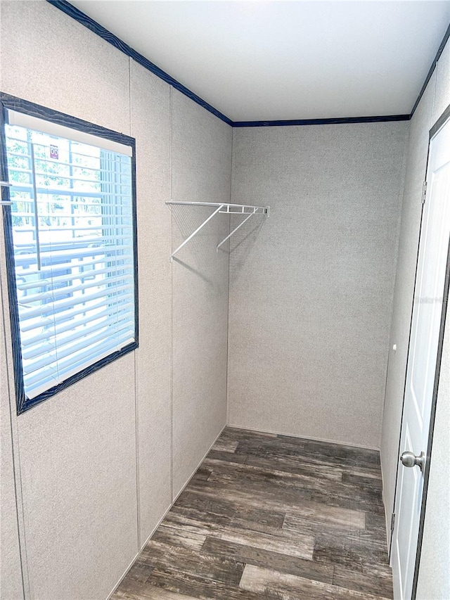 3790 NW 4th Ave, Okeechobee, FL 34972 - walk in closet featuring dark wood-style floors