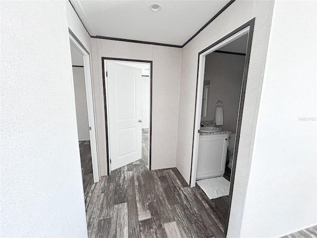 3790 NW 4th Ave, Okeechobee, FL 34972 - corridor with dark wood finished floors, a sink, and crown molding