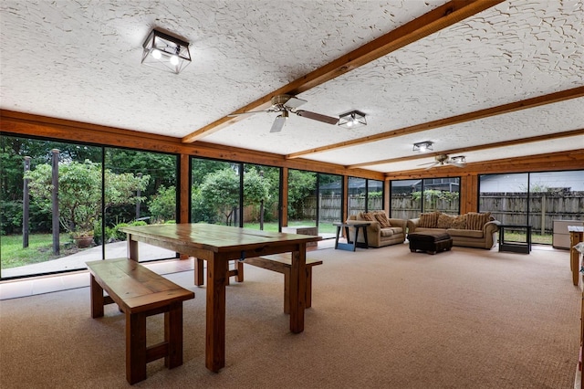 146 Tollgate Trl, Longwood, FL 32750 - photo 45