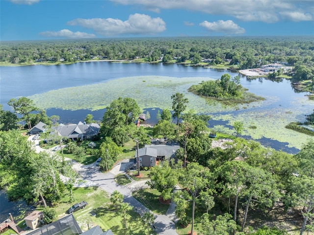 277 Sunrise Pt, Lake Mary, FL 32746 - bird's eye view of a forest and a large body of water