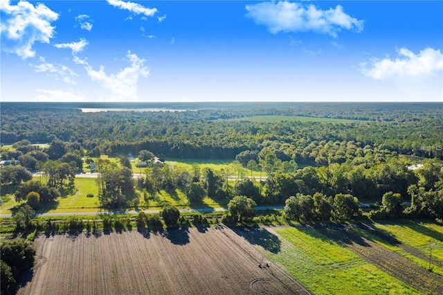 7904AND8010 SE US Highway 301, Hawthorne, FL 32640 - view of rural area with a forest