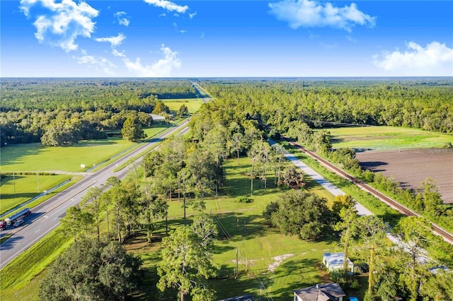 7904AND8010 SE US Highway 301, Hawthorne, FL 32640 - aerial view of a forest