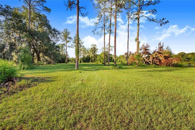 7904AND8010 SE US Highway 301, Hawthorne, FL 32640 - view of grassy yard