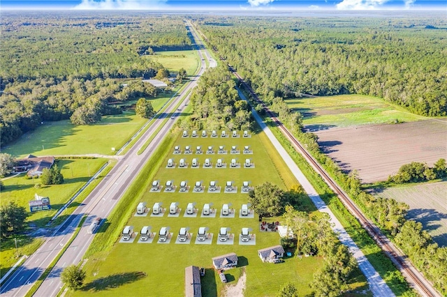 7904AND8010 SE US Highway 301, Hawthorne, FL 32640 - bird's eye view of a forest