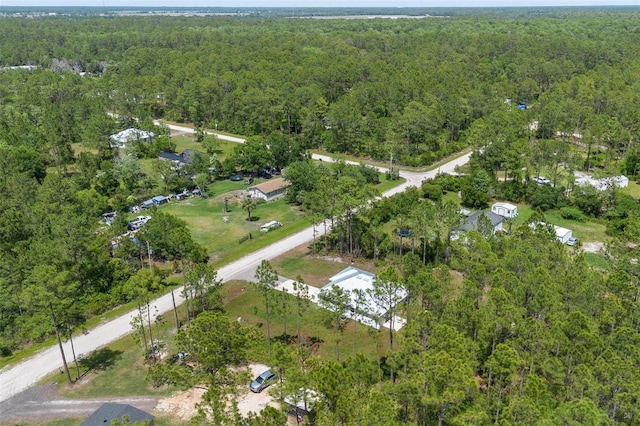 4253 Fruitwood Ave, Bunnell, FL 32110 - photo 32