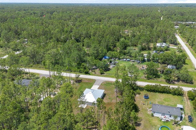 4253 Fruitwood Ave, Bunnell, FL 32110 - photo 33