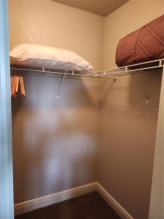 3500 Calabria Ave, Davenport, FL 33897 - view of walk in closet