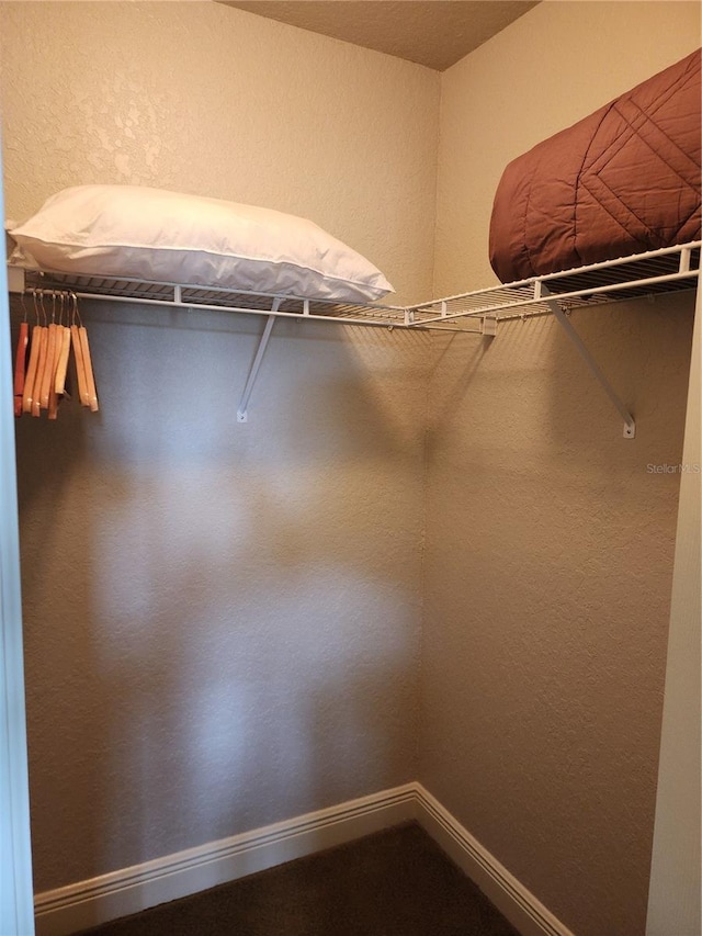 3500 Calabria Ave, Davenport, FL 33897 - view of walk in closet