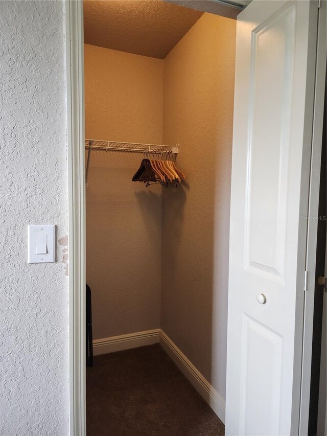 3500 Calabria Ave, Davenport, FL 33897 - walk in closet with dark carpet