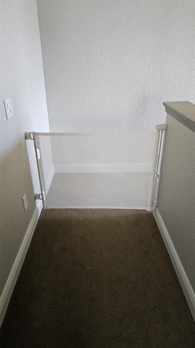 3500 Calabria Ave, Davenport, FL 33897 - detailed view of carpet and baseboards