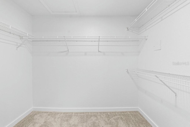 walk in closet featuring light carpet and attic access